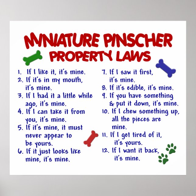 PÓSTER MINIATURE PINSCHER PL2 (Frente)