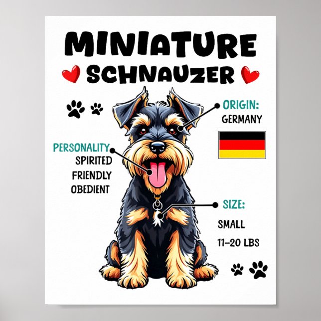 Poster Miniature Schnauzer Owner Funny Mini Schnauzer Lov (Frente)