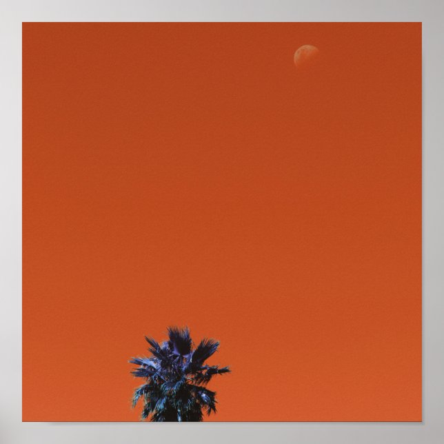 Poster Minimalismo da Lua Tropical de Palmeiras Vibes Pos (Frente)