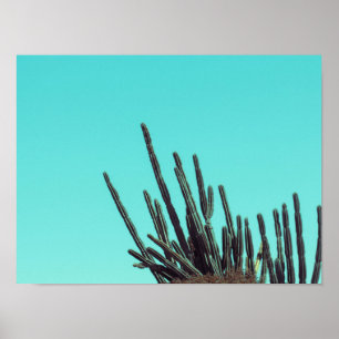 Poster Minimalismo das Plantas Suculentas do Cactus Verde