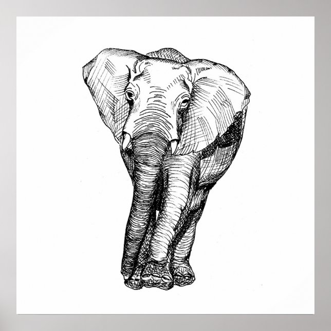 Poster Minimalismo preto e branco, animais, originais (Frente)