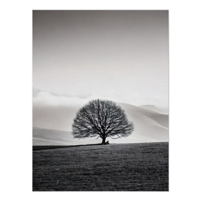 Póster Minimalist Solitary Tree Landscape | Black & White (Frente)