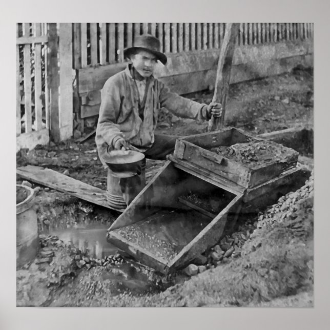 Poster MINING Dourado com uma CAIXA ROCKER c. 1866 (Frente)