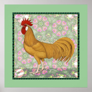 Poster Minorca:  Rooster antigo