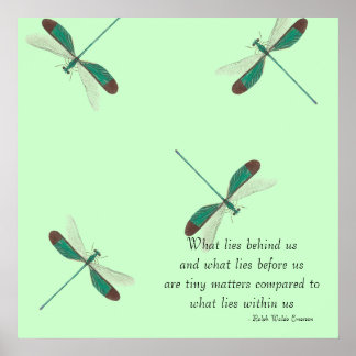 Póster Mint Dragonflies O Que Está Atrás De Nós