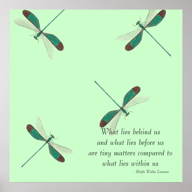 Póster Mint Dragonflies O Que Está Atrás De Nós (Frente)