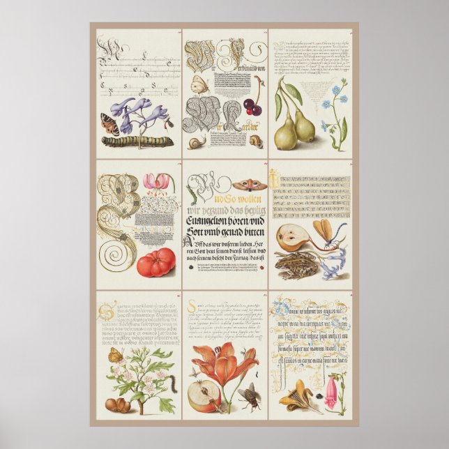 Poster Mira Calligraphiae Monumenta 005 (Frente)