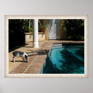 Póster Miss Piggy no Paraíso