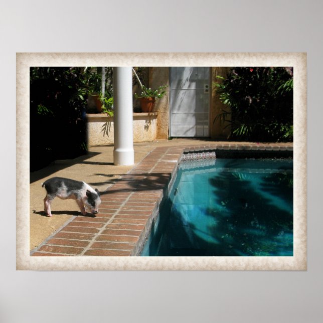 Póster Miss Piggy no Paraíso (Frente)