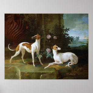Póster Misse e Turlu, dois galgos de Louis XV