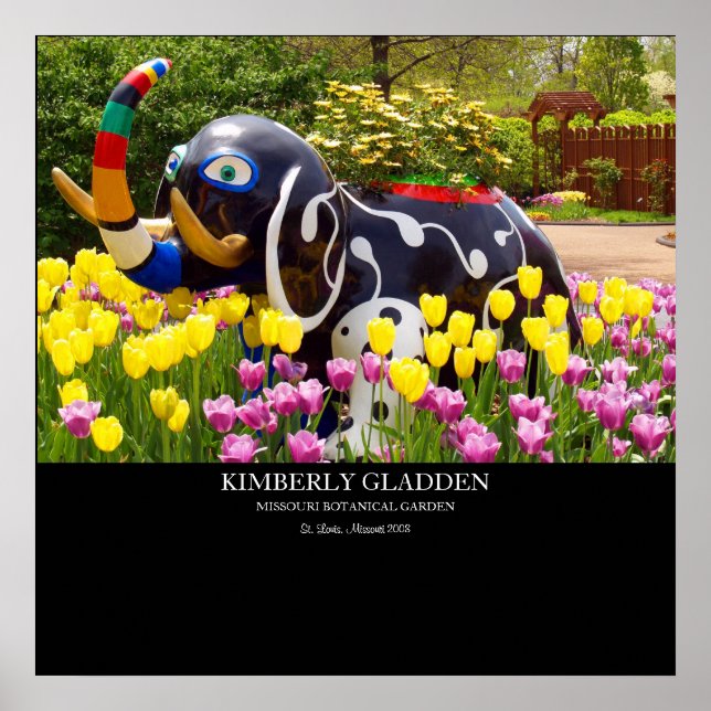 PÓSTER MISSOURI BOTANICAL GARDEN (Frente)