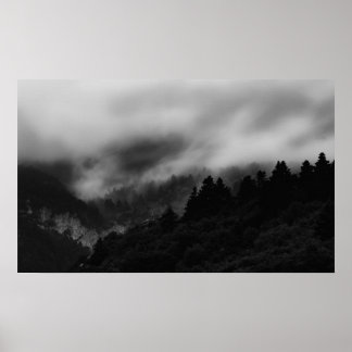 Poster Mist sobre a floresta