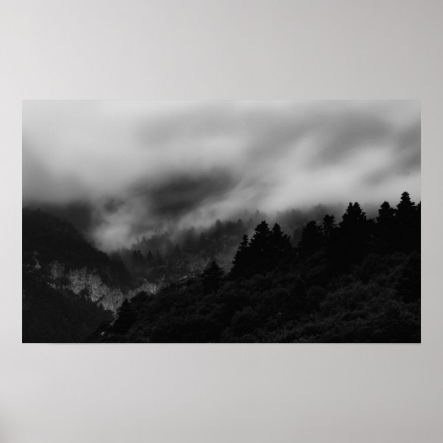 Poster Mist sobre a floresta (Frente)