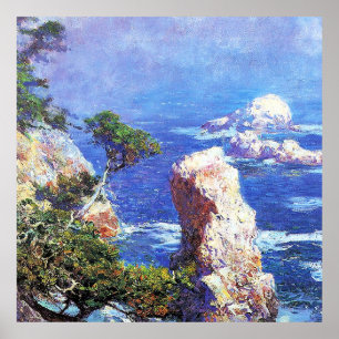 Poster Mist sobre Point Lobos, belas artes por Cara