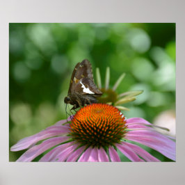 PÓSTER MISTURANDO COM O CARTAZ