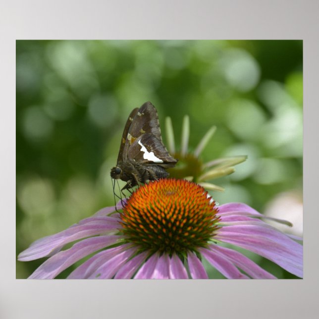 PÓSTER MISTURANDO COM O CARTAZ (Frente)