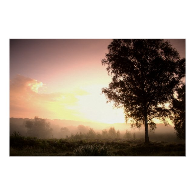 Póster Misty Autumn Sunrise (4543) (Frente)