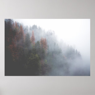 Poster Misty Forest