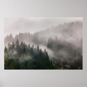 Poster Misty Forest in the Mountains
