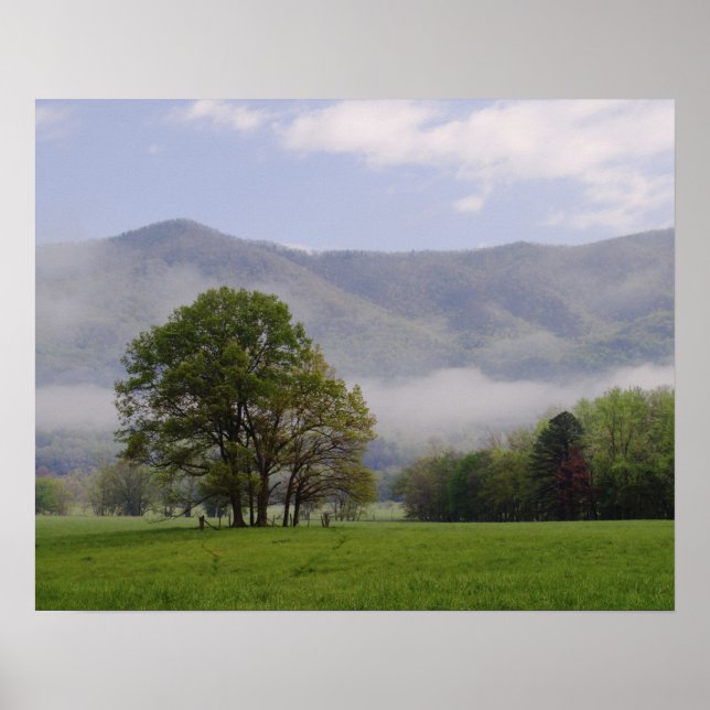 Póster Misty Meadow e Rich Mountain, Cades Cove, (Frente)
