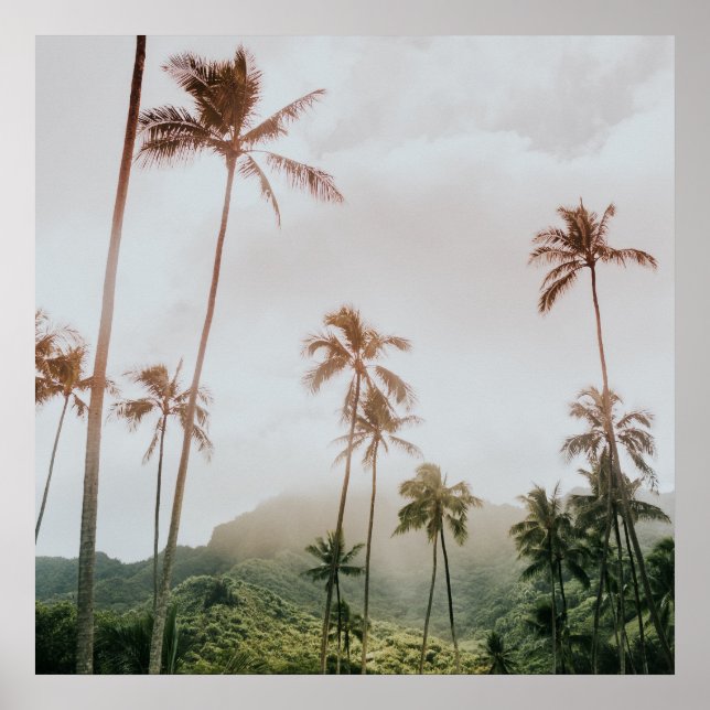 Poster Misty Morning Palms em Oahu, Havaí (Frente)