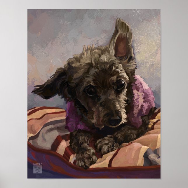 Póster Misty o Poodle (Frente)