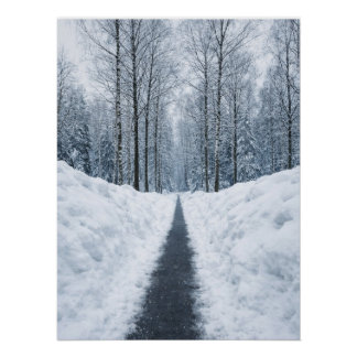 Póster Misty Winter Forest Path Winter Landscape Poster
