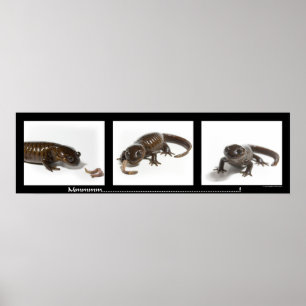 Póster Mmmmmmmmmm...........................!