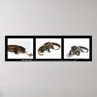 Póster Mmmmmmmmmm...........................!