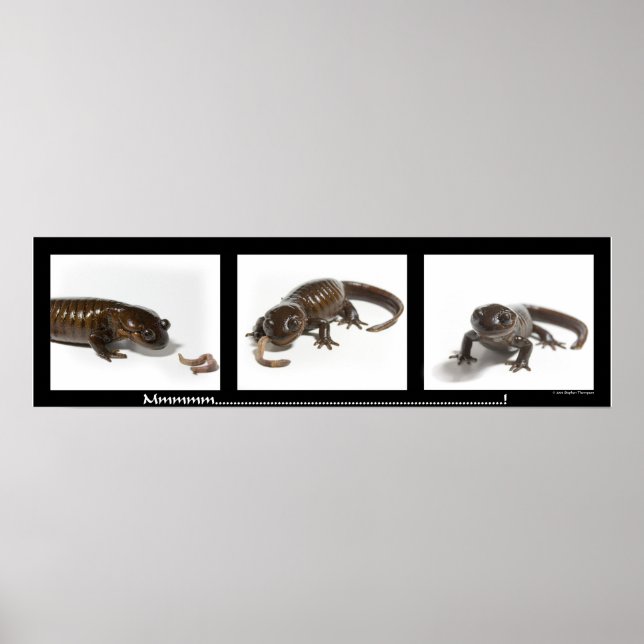 Póster Mmmmmmmmmm...........................! (Frente)