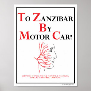 Póster Mnemônica: Para Zanzibar Por Carro Motor