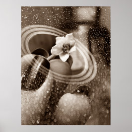 Poster mni flor de pimentão