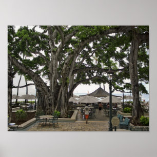 Poster Moana Surfrider Banyan Court - praia de Waikiki