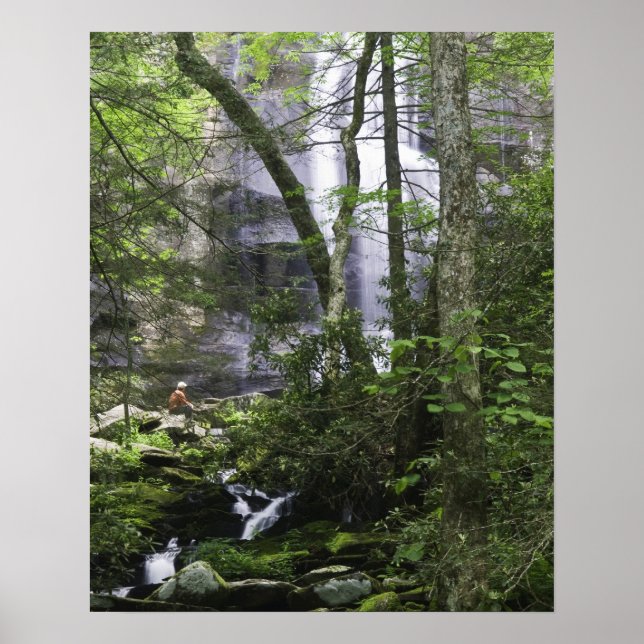 Póster Mochileiro admira Falls Branch Falls (Frente)