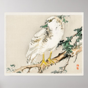 Poster Mockingbird norte por Kōno Bairei (1844-1895)