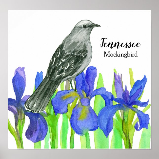 Poster Mockingbird State Bird no Tennessee (Frente)