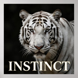 Poster Moda de Luxo do Tigre Branco