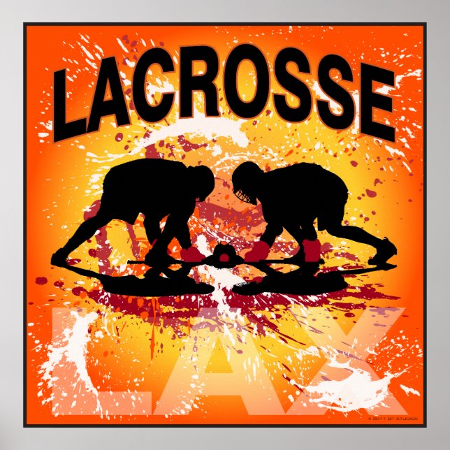 Póster Modelo 2011 (Frente)