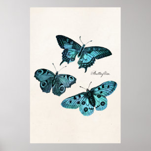 Poster Modelo azul da ilustração da borboleta da cercet