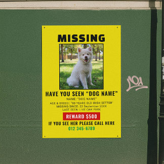 Póster Modelo de Alerta de Cachorro Perdido Urgente