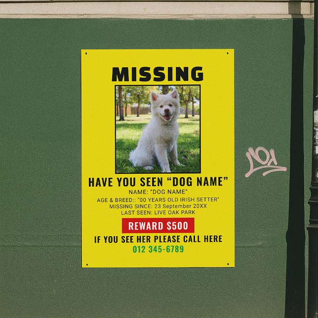 Póster Modelo de Alerta de Cachorro Perdido Urgente (Criador carregado)