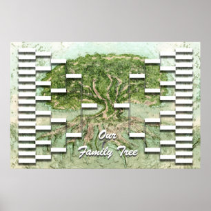 Póster Modelo de árvore genealógica