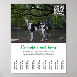 Poster Modelo de cartaz de cachorro à venda 