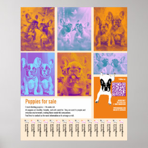 Poster Modelo de Cartaz de Venda de Cachorros 6 imagens C