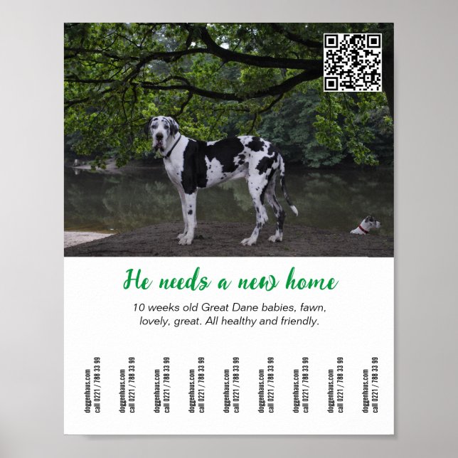 Poster Modelo de cartaz para vender cachorro (Frente)