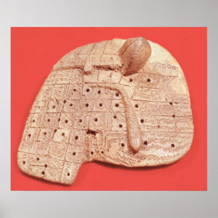 Póster Modelo de fígado de ovelha