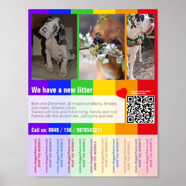 Poster modelo de filhotes para venda imprimível (Frente)