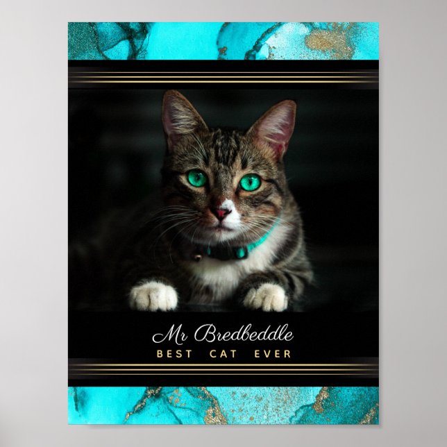 Poster Modelo de Foto de Gato Mais Bonito de Todos os Tem (Frente)
