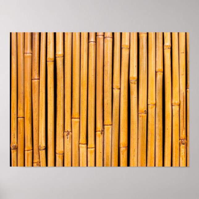 Poster Modelo de Fundo Tropical Hawaiai Bamboo (Frente)
