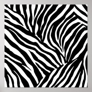 Poster Modelo de Página para Colorir Listras de Zebra de